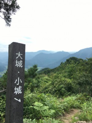 大城 961