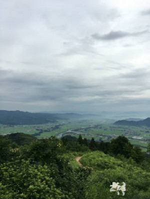 new_IMG_1507