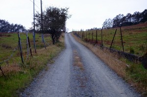 DSCF2355