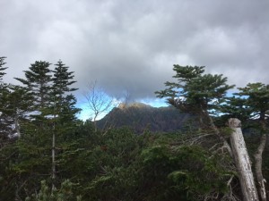 IMG_0461