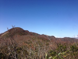 IMG_8544