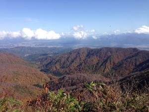 IMG_8573