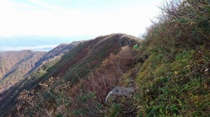 IMG_8619