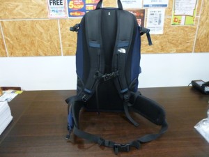 テルス (7)