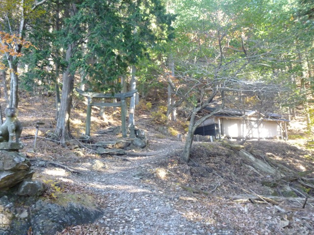 P1010232