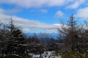 IMG_2699