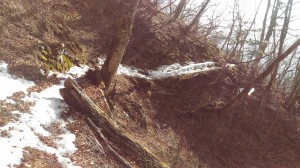 P_20170223_151207