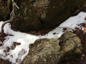 IMG_3668