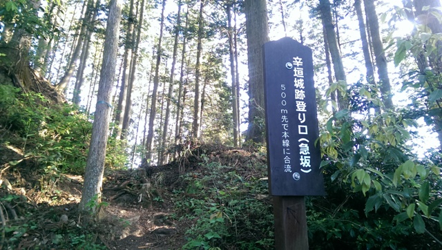 IMAG2209