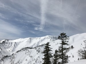 IMG_0317