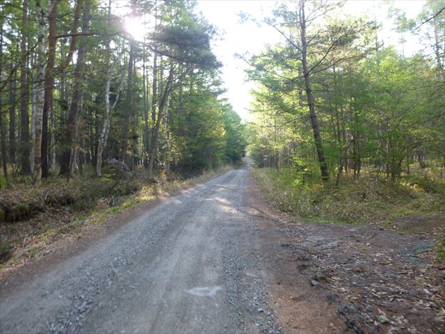 P1010809_R