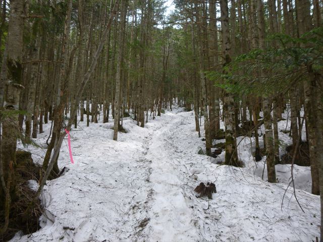 P1010856_R