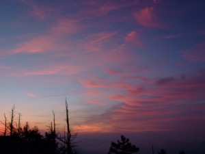 雲取山６月10-11日 134
