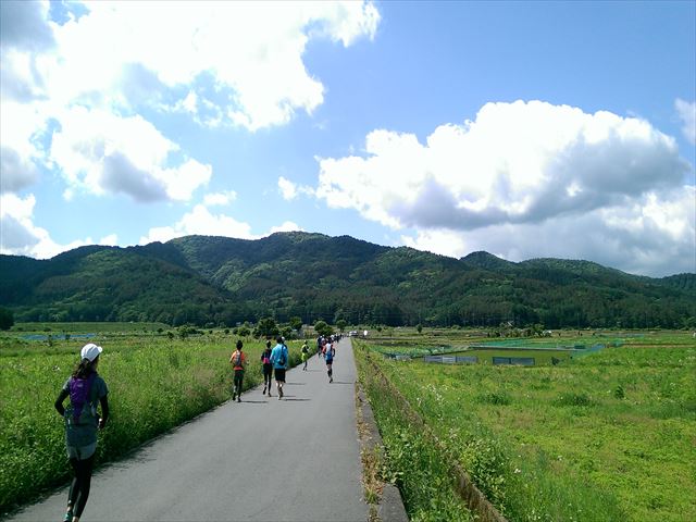 IMAG2454_R