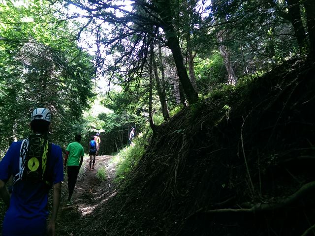 IMAG2462_R