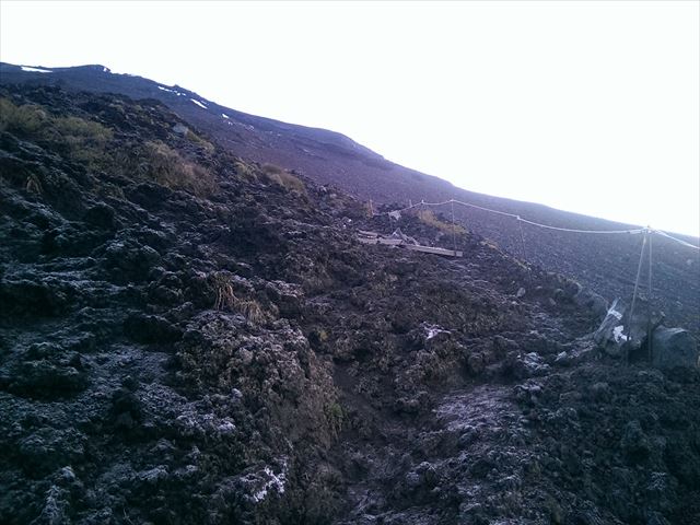 IMAG2653_R