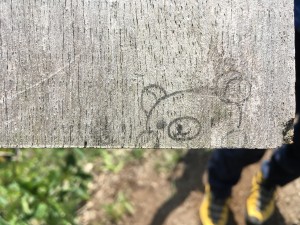 IMG_0545
