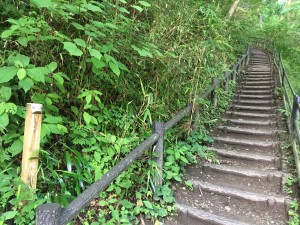 IMG_0867