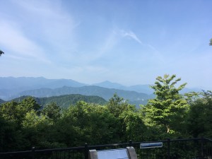 IMG_0909