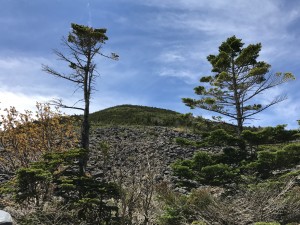 IMG_2114