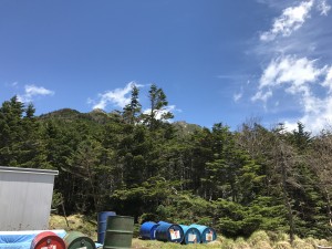 IMG_2115