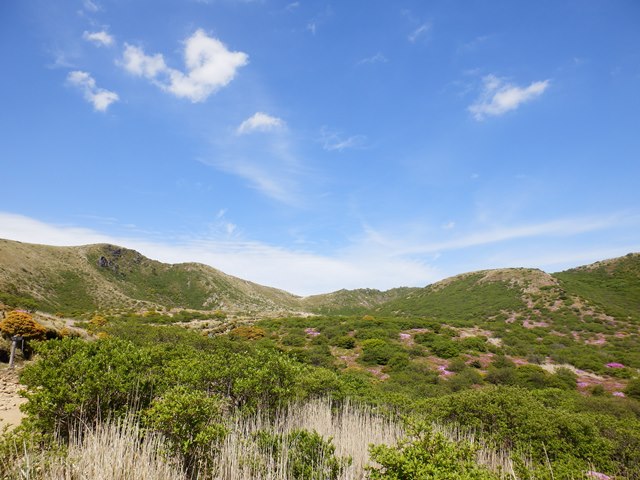 P6050042