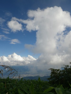 IMGP2460