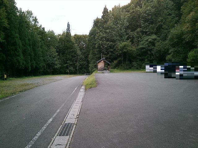 IMAG4156_R