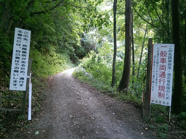 IMAG4160_R