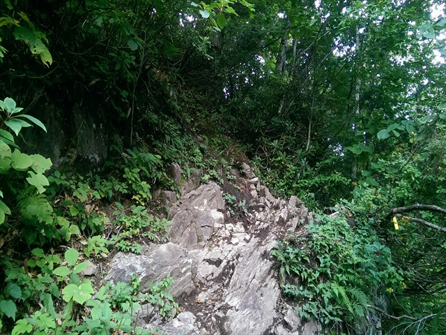 IMAG4169_R