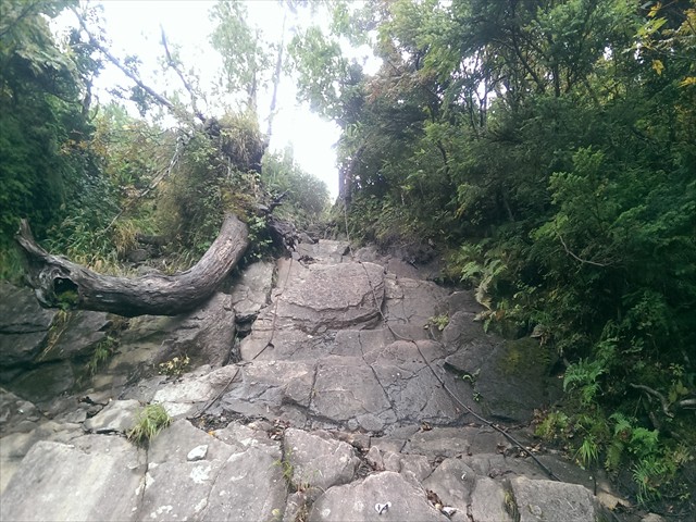 IMAG4182_R