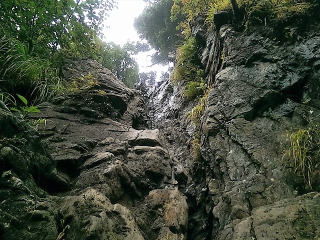 IMAG4191_R