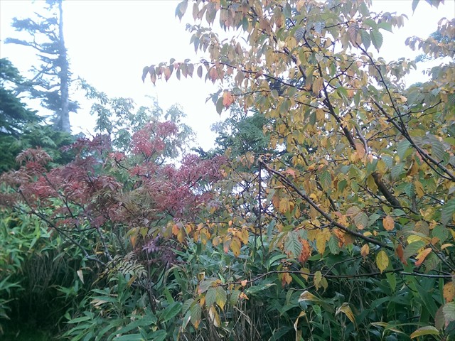 IMAG4195_R