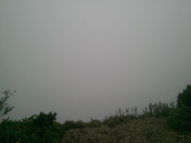 IMAG4203_R