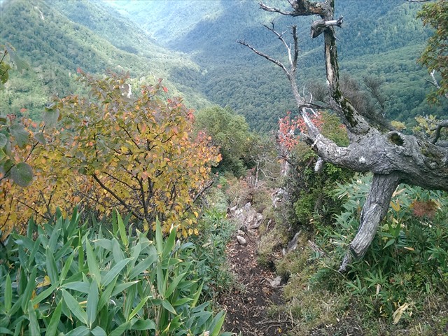 IMAG4254_R