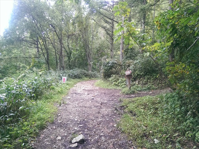 IMAG4264_R
