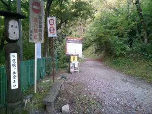 IMAG4317_R