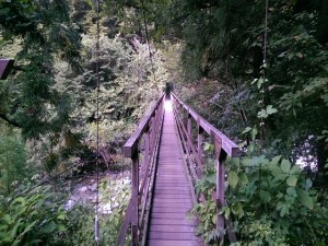 IMAG4322_R