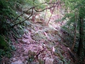 IMAG4324_R