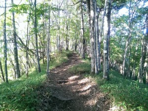 IMAG4331_R