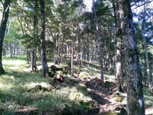 IMAG4334_R