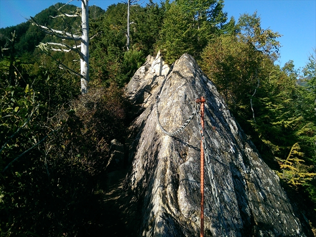 IMAG4339_R