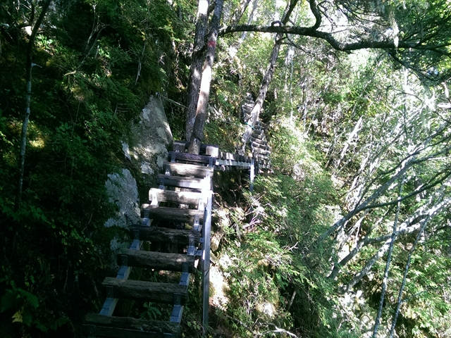 IMAG4343_R