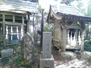 IMAG4347_R