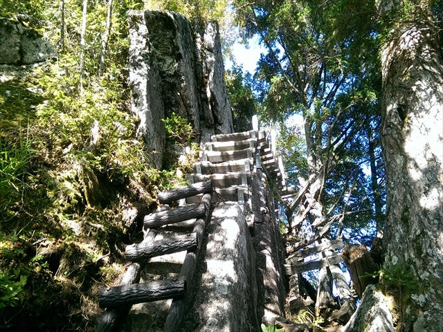 IMAG4359_R