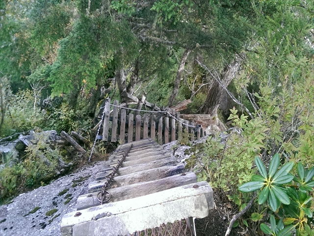 IMAG4360_R