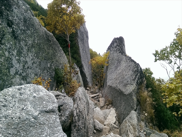 IMAG4412_R
