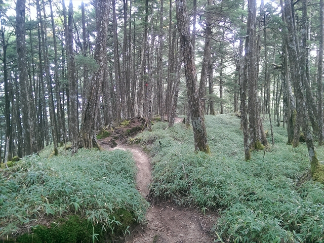 IMAG4419_R
