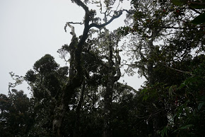 DSC00957