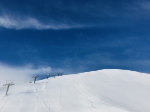 IMG_9309